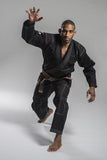 Ronin Brand Insignia V2 Jiu-jitsu Gi